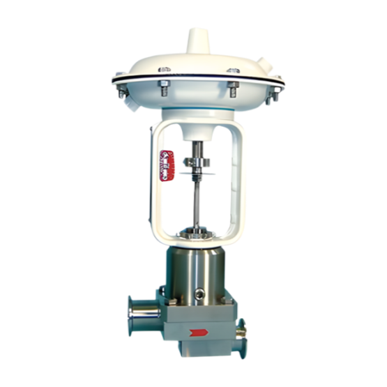 Baumann™ 84000 Sanitary Control Valve